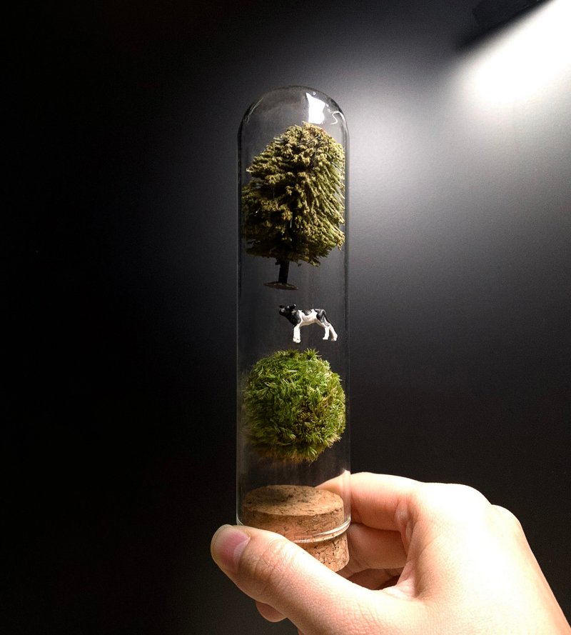 【跟地心吸力對抗的盆栽】反重力苔玉-被吸走的乳牛 - 盆栽/植栽 - 植物．花 綠色