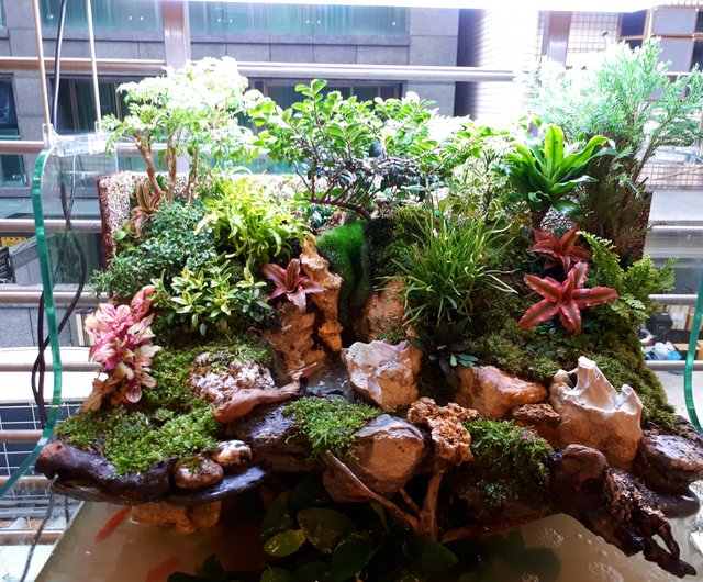 Kaiyun Ecological Landscaping Fish Tank NAC-60 家の風水で