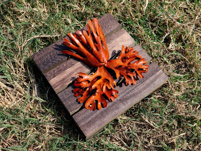 【訂製】鹿角蕨仿真植栽 紅銅手工鍛敲 永久保存 - 擺飾/家飾品 - 銅/黃銅 橘色