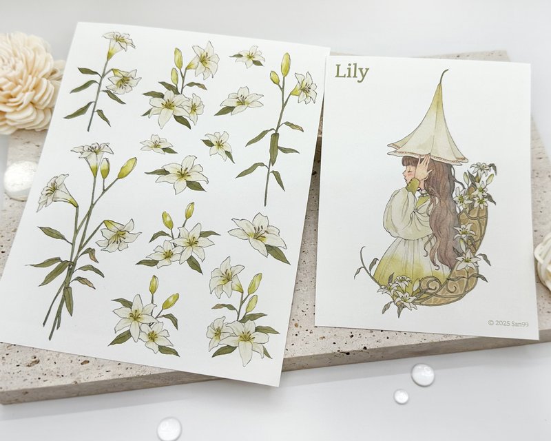 Lily - 貼紙 - 紙 