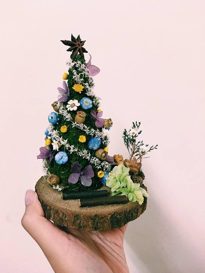Sapin de Noël No.2 - 盆栽/植栽 - 植物．花 