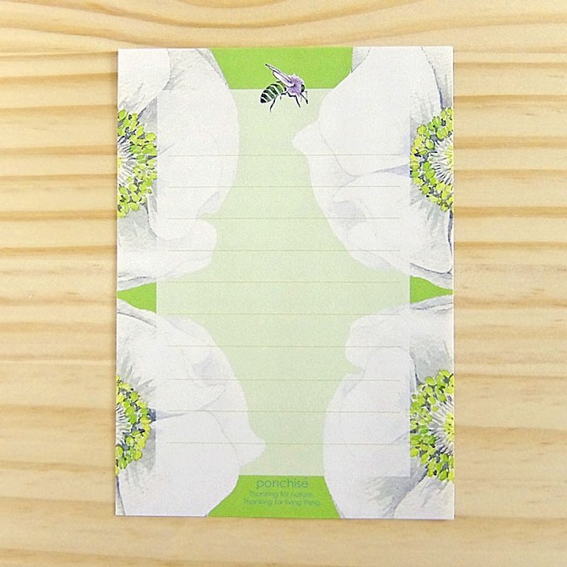Stationery anemone - ซองจดหมาย - กระดาษ สีเขียว