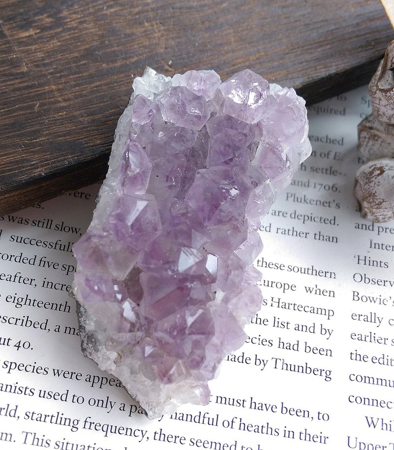 Amethyst 巴西產地 原皮紫水晶  晶簇 天然礦石 原礦 - 擺飾/家飾品 - 其他材質 