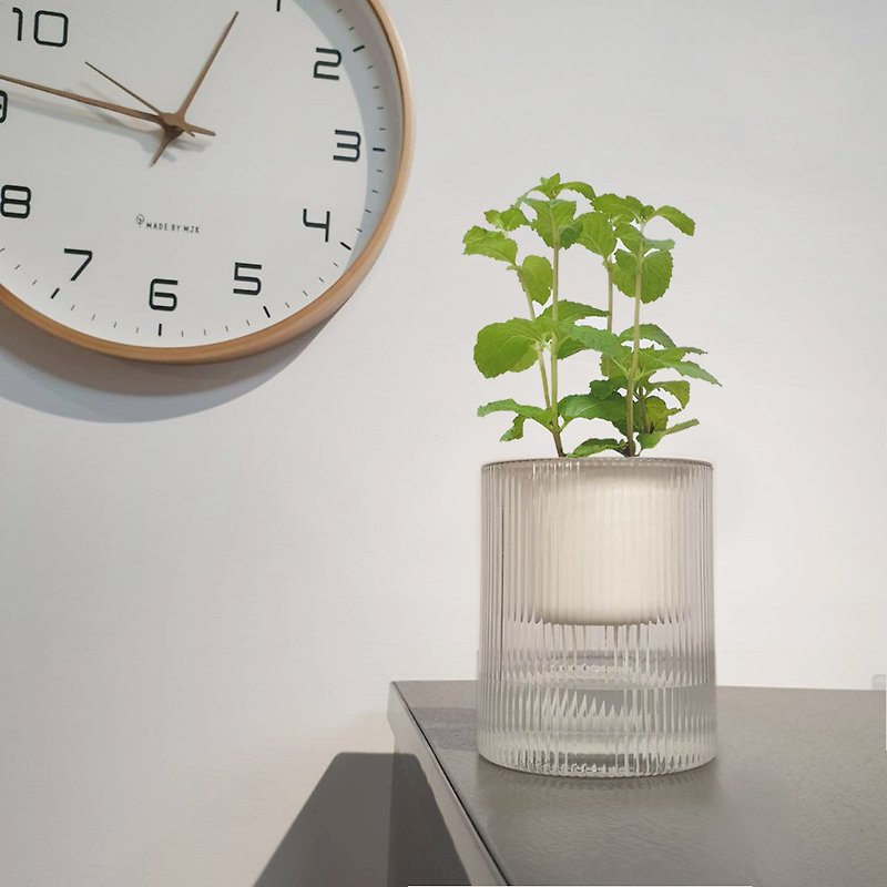 Mint indoor potted plant lazy potted plant - Plants - Plastic Transparent