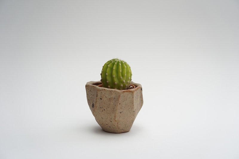 植物サボテン植物スクエア手作りナチュラルカラー - 観葉植物 - 陶器 カーキ