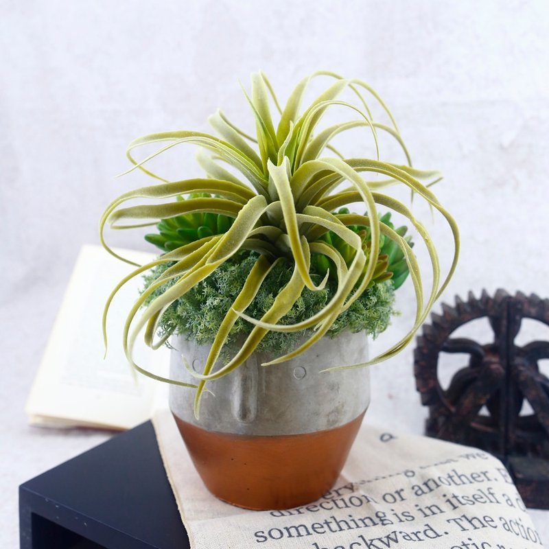 Transplanted air pineapple succulent plant/realistic plant/gift/greening/never fade/arrangement - Plants - Other Materials 