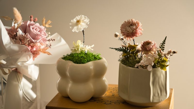 Everyday Blooms: The Language of Flowers Collection - White Zinnia Pot - Dried Flowers & Bouquets - Plants & Flowers White