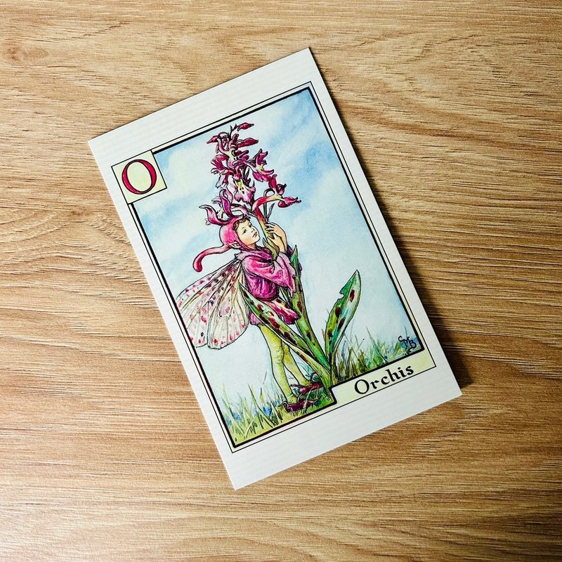 花仙子 字母系列 經典明信片 - Orchis/ 蘭花 - 卡片/明信片 - 紙 