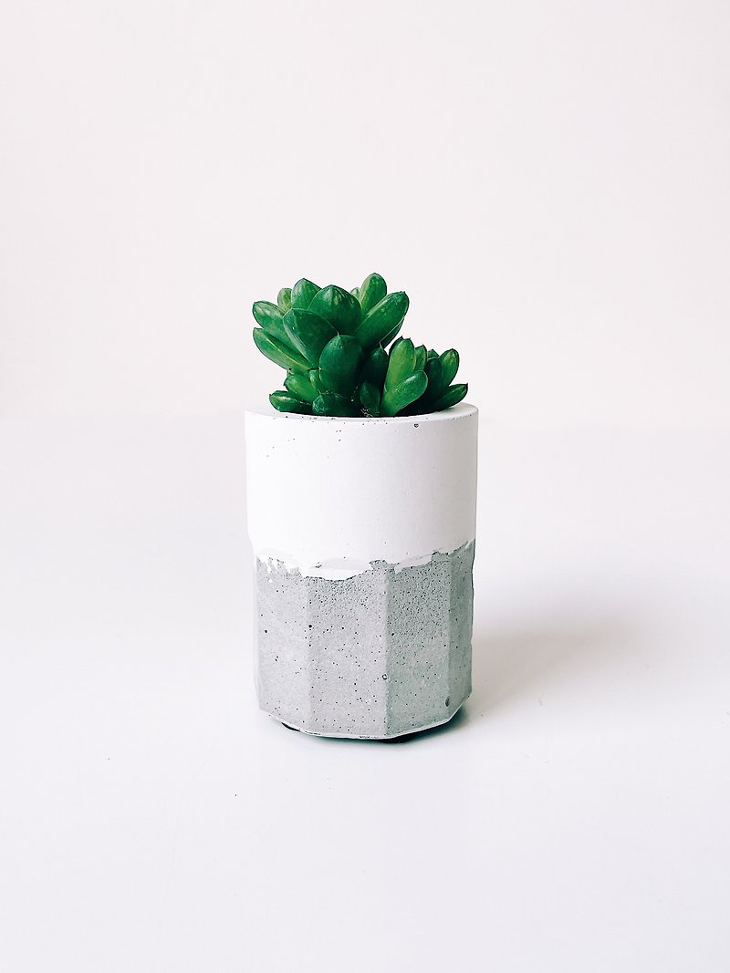 Succulent Small Wine Glass - Desktop Small Plant (Free Lego) - Plants - Cement Gray