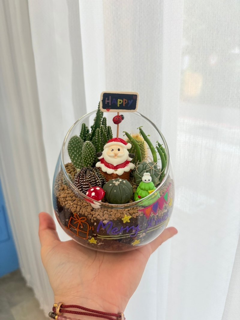 【體驗活動】聖誕節限定親子多肉組盆 - 植栽/花藝 - 其他材質 
