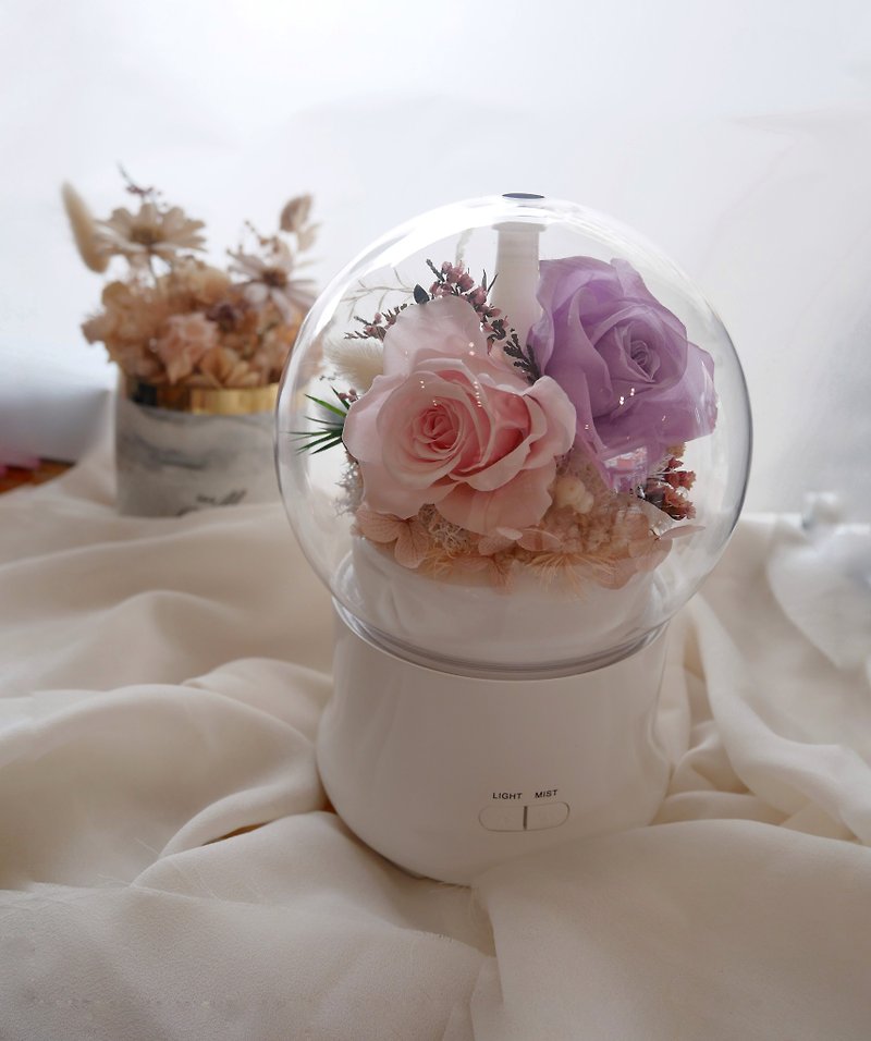 Miss. Flower Mystery [Eternal Flower Fragrance Machine] Diffuser, Water Oxygen Machine, Night Light with Gift Box - ช่อดอกไม้แห้ง - พืช/ดอกไม้ สึชมพู