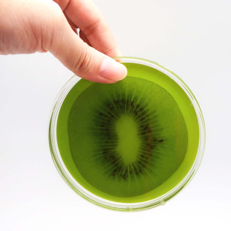【聖誕節快速出貨】【療癒禮物】水果切片奇異果晶透壓克力杯墊 - 擺飾/家飾品 - 壓克力 綠色