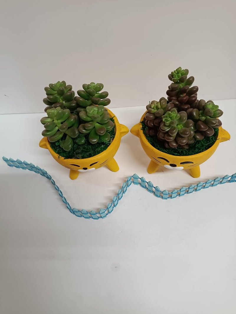 貓咪造型桌上型多肉植物盆栽 送禮自用擺設 - 盆栽/植栽 - 陶 