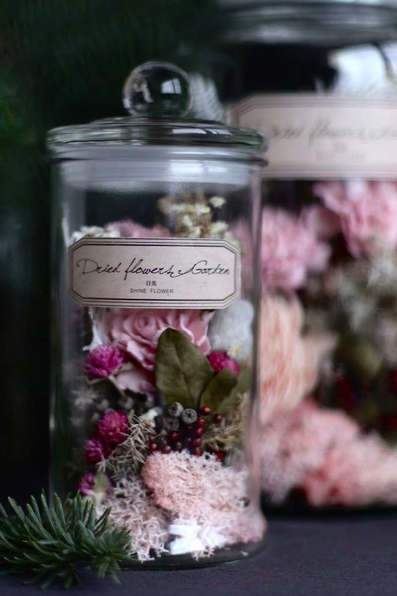 Secret Garden＿Dreamland Dry Flower Glass Wen＿M Number＿Flower Ceremony - ตกแต่งต้นไม้ - พืช/ดอกไม้ หลากหลายสี
