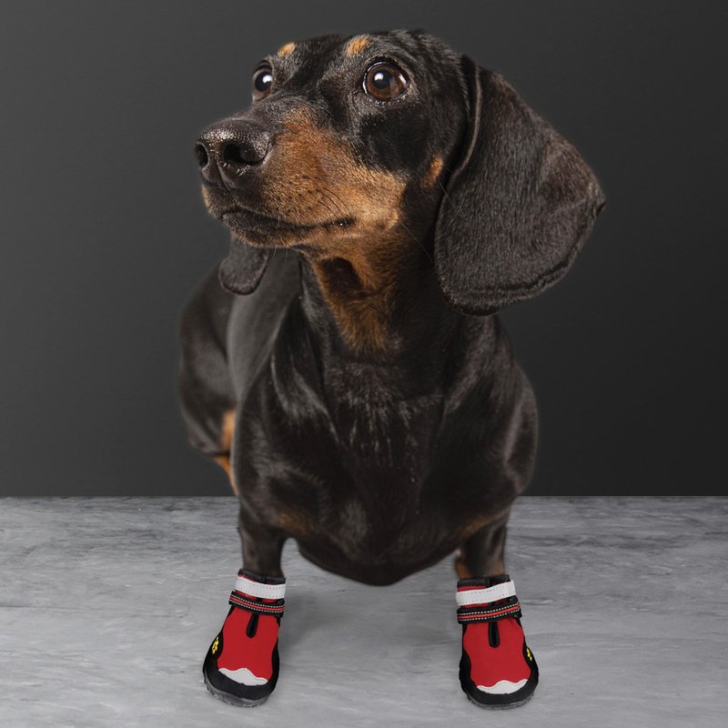 TTP Dog Sports Shoes Turbo Run Series - Clothing & Accessories - Nylon Red