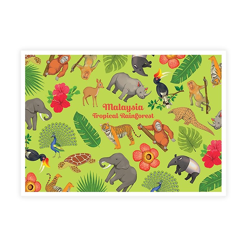熱帯雨林のポストカード - カード・はがき - 紙 