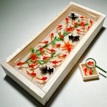 池波屋/日本の金魚作品専門店 | Pinkoi | 日本のデザイナーズブランド