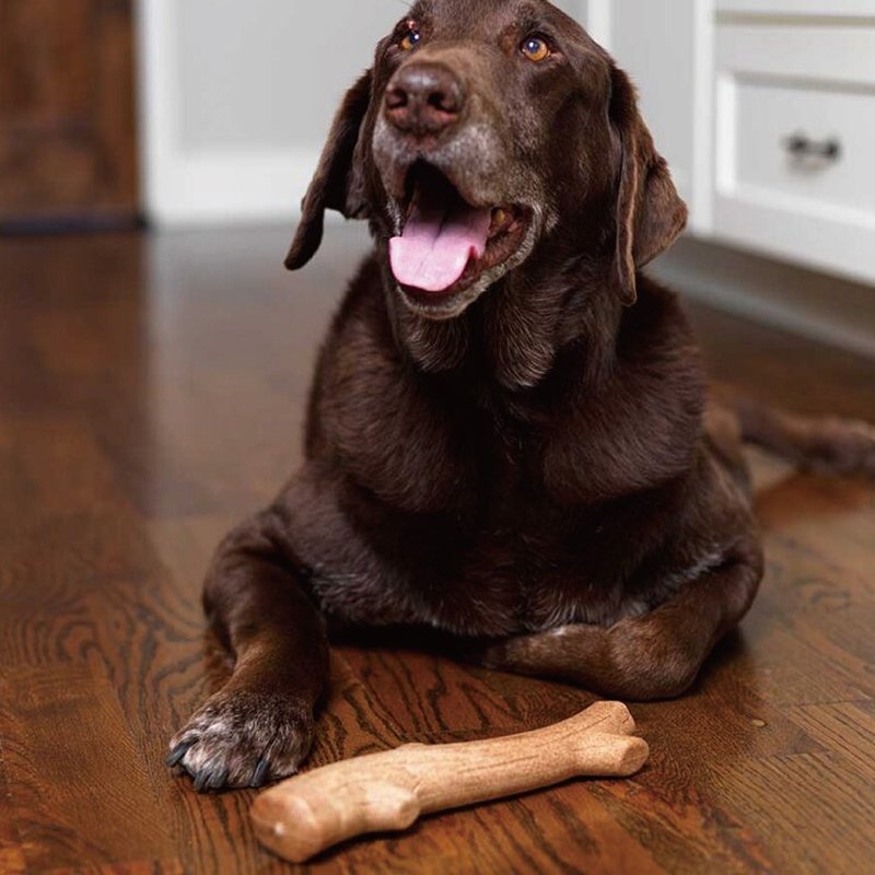 Teeth Cleaner Super Stick (Small, Medium and Large Dogs/4 Sizes) Pet Toy - ของเล่นสัตว์ - วัสดุอื่นๆ 