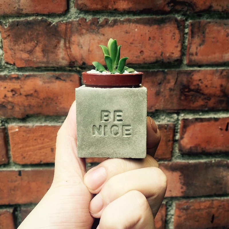 Be nice to people and people will also be nice to you~ Succulent Magnet Potted Plants - ตกแต่งต้นไม้ - ปูน สีเทา