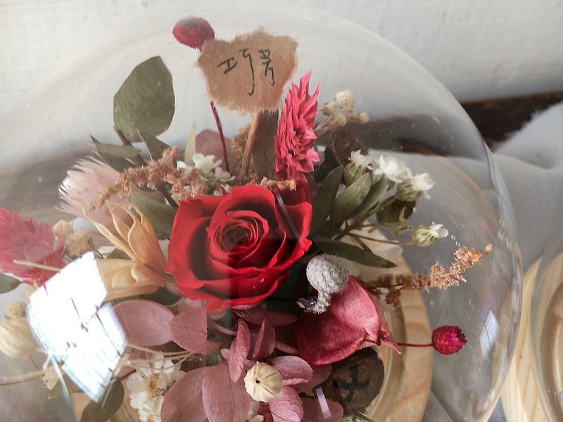 【好花】不凋玫瑰微景觀玻璃花球盅 情人節禮物 生日 開幕 乾燥花