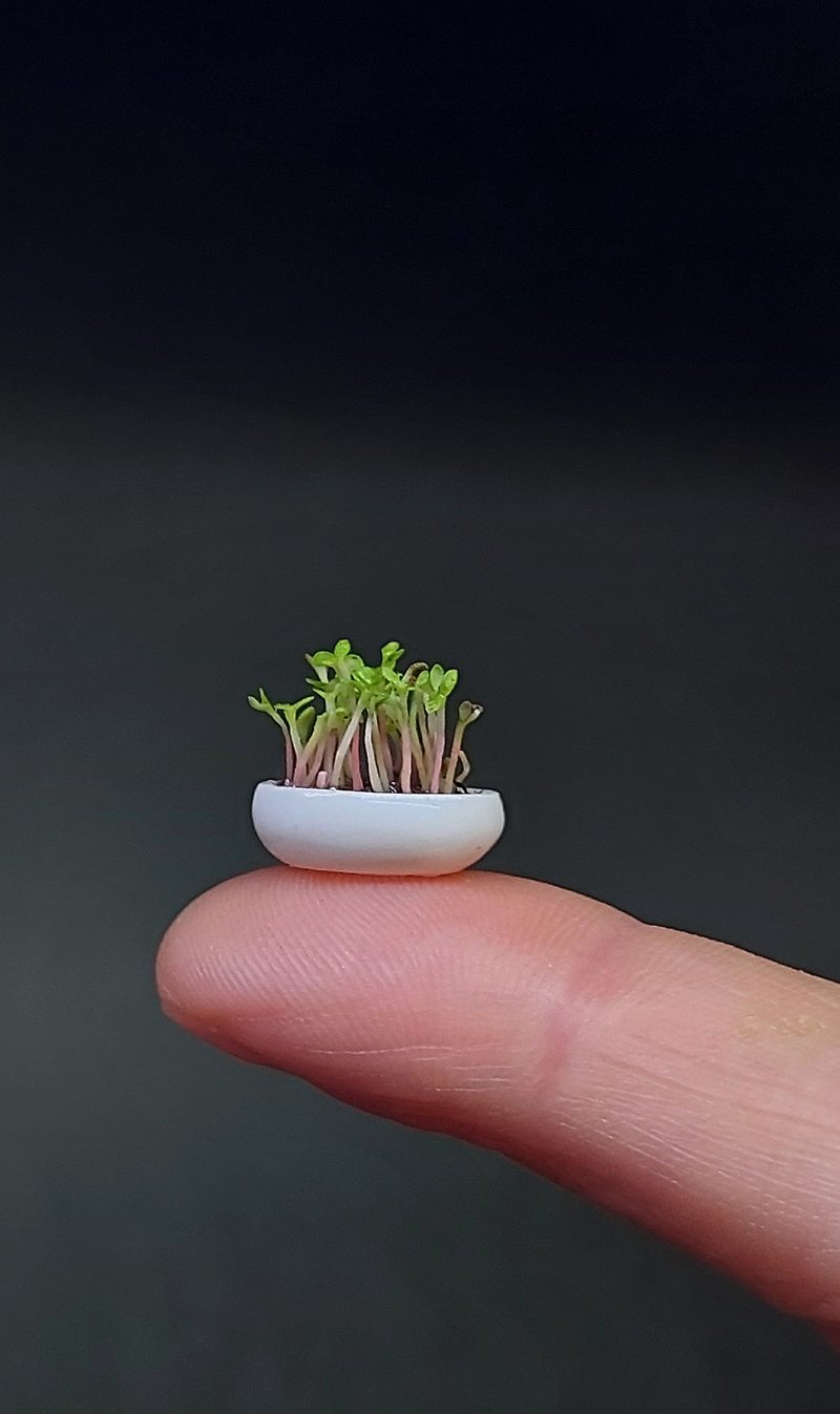 Miniature greenery in a pot 1:12, Dollhouse plants, Micro plants, seedlings