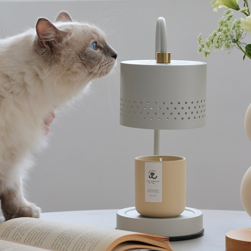 First impression of HEYDAY pet-friendly candle with floral and fruity notes, produced by Australian veterinarians and SGS certified - Candles & Candle Holders - Cement Orange