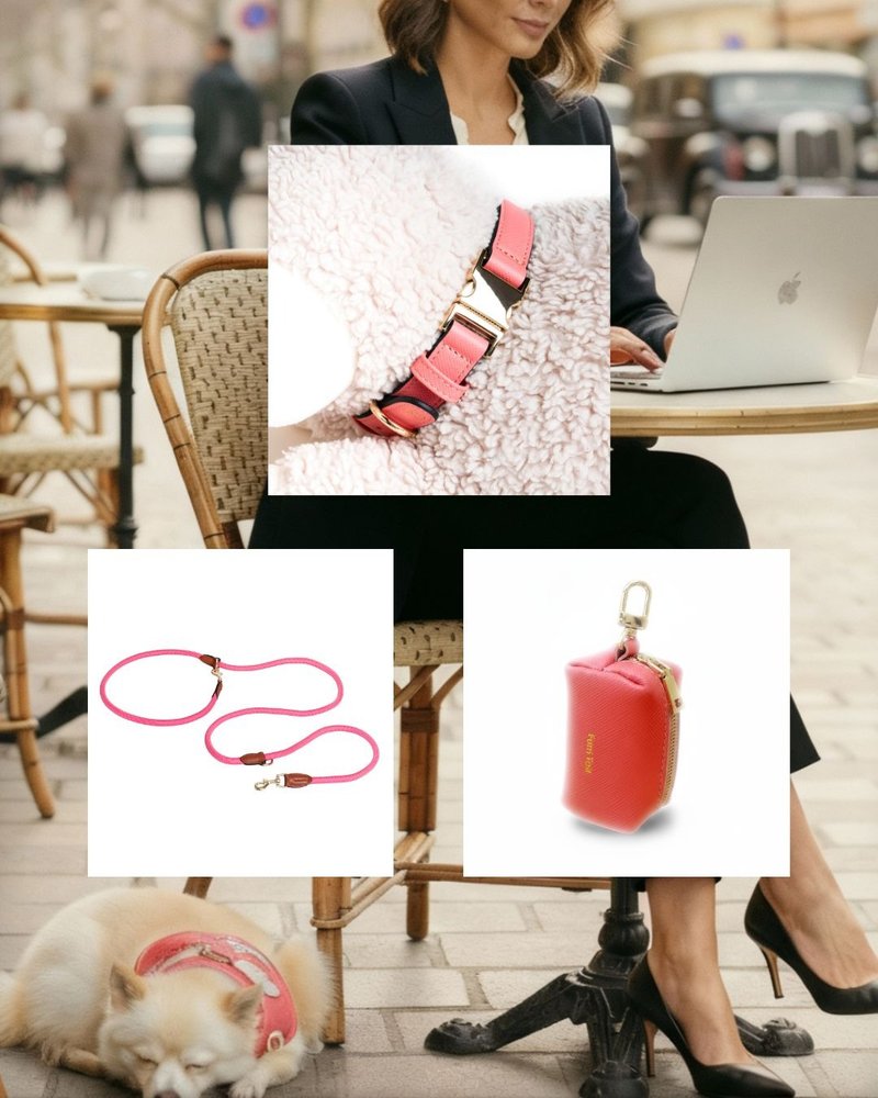 聖誕寵愛真皮3合1奢華套裝 - 手工項圈 • 多變牽繩 • 時尚拾便 - 貓狗頸圈/牽繩 - 真皮 粉紅色