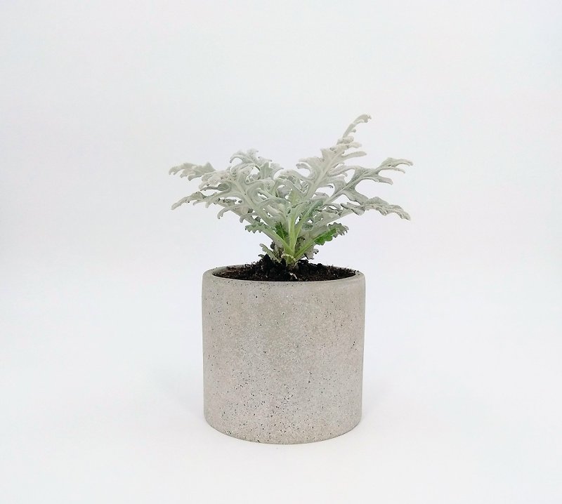 [Cup pot] Cement flower/ Cement potted plant/ Cement planting (plants not included) - ตกแต่งต้นไม้ - ปูน สีเทา