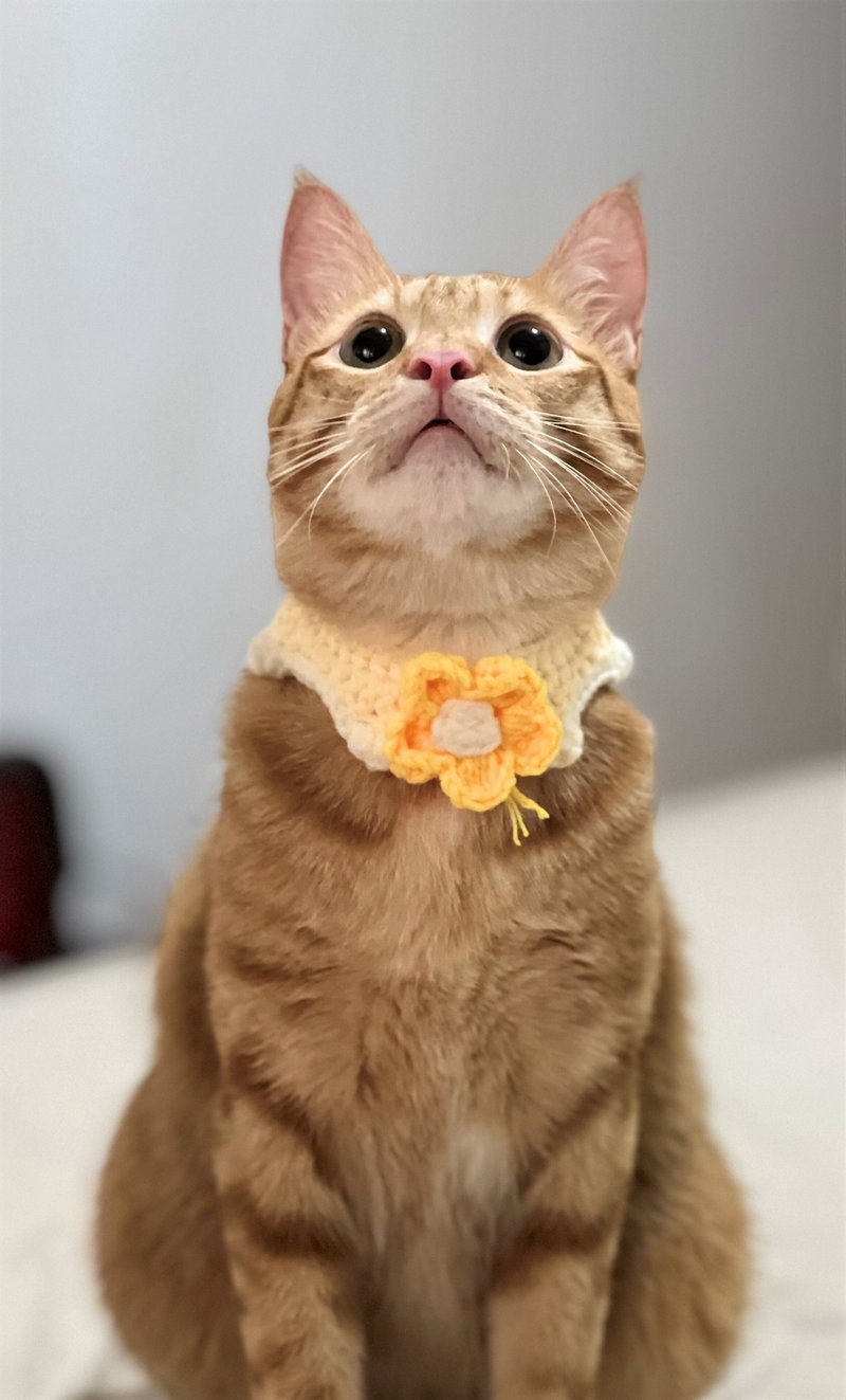 ฅcat handmade ฅ puff flower collar hand crocheted collar custom gift pet cat cat and dog - ปลอกคอ - ผ้าฝ้าย/ผ้าลินิน สีเหลือง