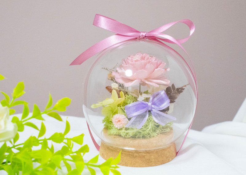 Dry Sola Round Flower Cup - ช่อดอกไม้แห้ง - พืช/ดอกไม้ สึชมพู