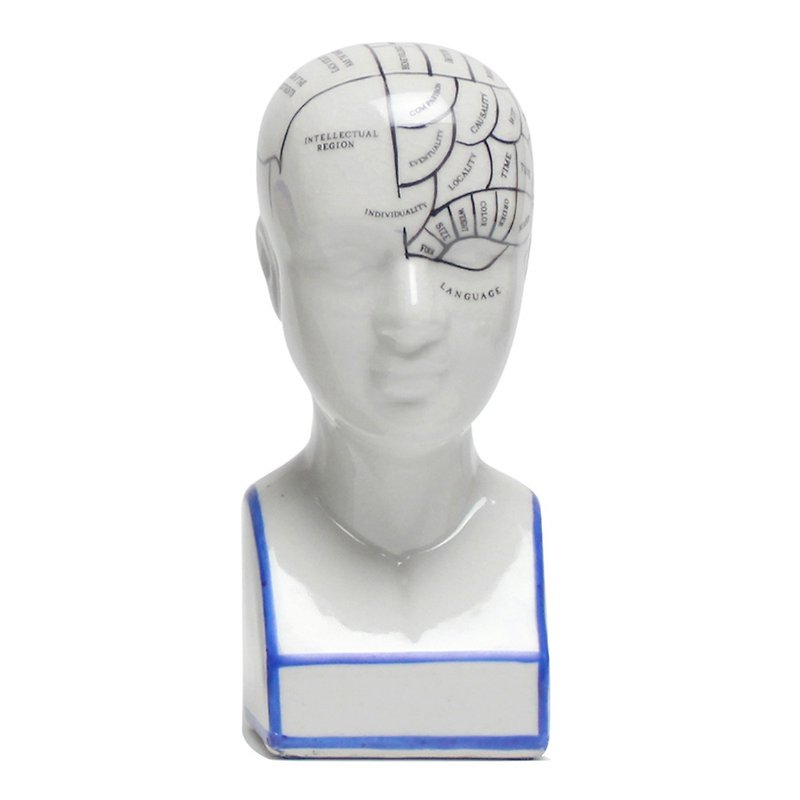Phrenology ceramic head (small) - Other - Other Materials 