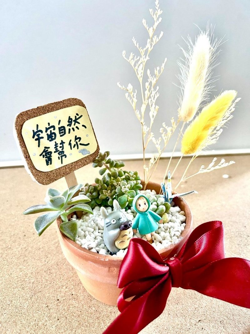 龍貓 小梅 台中 多肉組盆 多肉盆栽 多肉植物 生日送禮 聖誕禮物 - 盆栽/植栽 - 植物．花 綠色