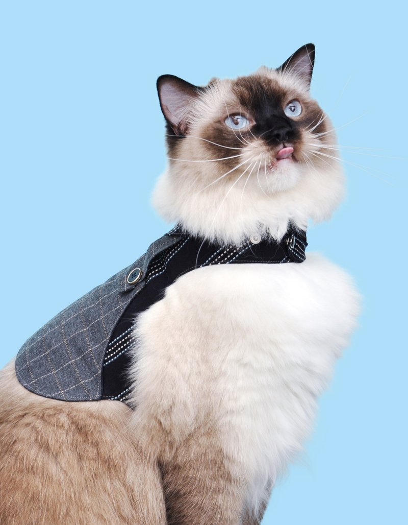 Alejandro Among Pet Harness - ชุดสัตว์เลี้ยง - ผ้าฝ้าย/ผ้าลินิน 