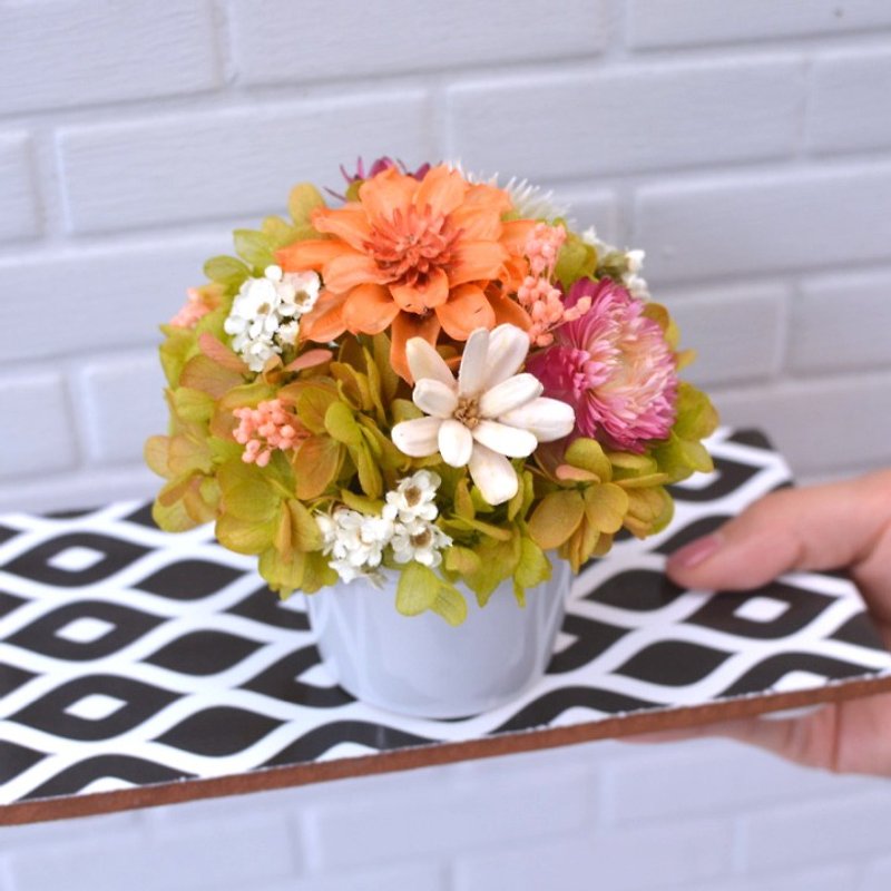 Huayuan waltz II - sweet orange green dry flower / not wither flower pots - ช่อดอกไม้แห้ง - พืช/ดอกไม้ สีส้ม