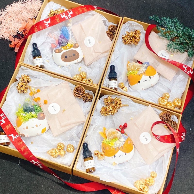 Clay Cat Crystal Diffuser Bonsai Gift Box, White Elephant Gift, Christmas Gift, Aroma, Flame-Free Aroma, Preserved Flowers - น้ำหอม - ปูน ขาว