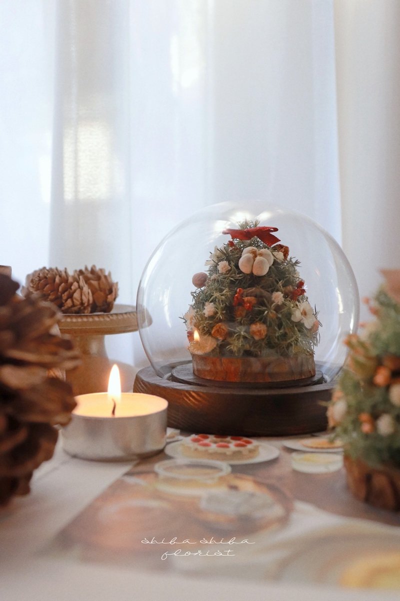 | DIY material package | - Mini pine cone Christmas tree glass balls - Make your own Christmas tree (three styles) - Plants & Floral Arrangement - Plants & Flowers Green