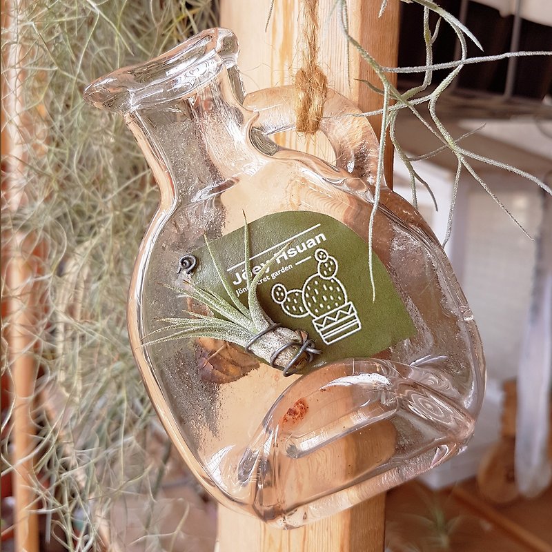 Hanging pot of genie in a bottle ( With Tillandsia ) - ตกแต่งต้นไม้ - แก้ว สีใส
