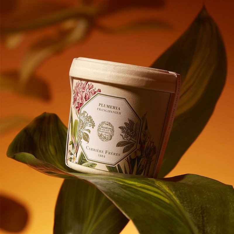 Carrière Frères Museum Collection Gardenia Candle Refill - เทียน/เชิงเทียน - ขี้ผึ้ง ขาว