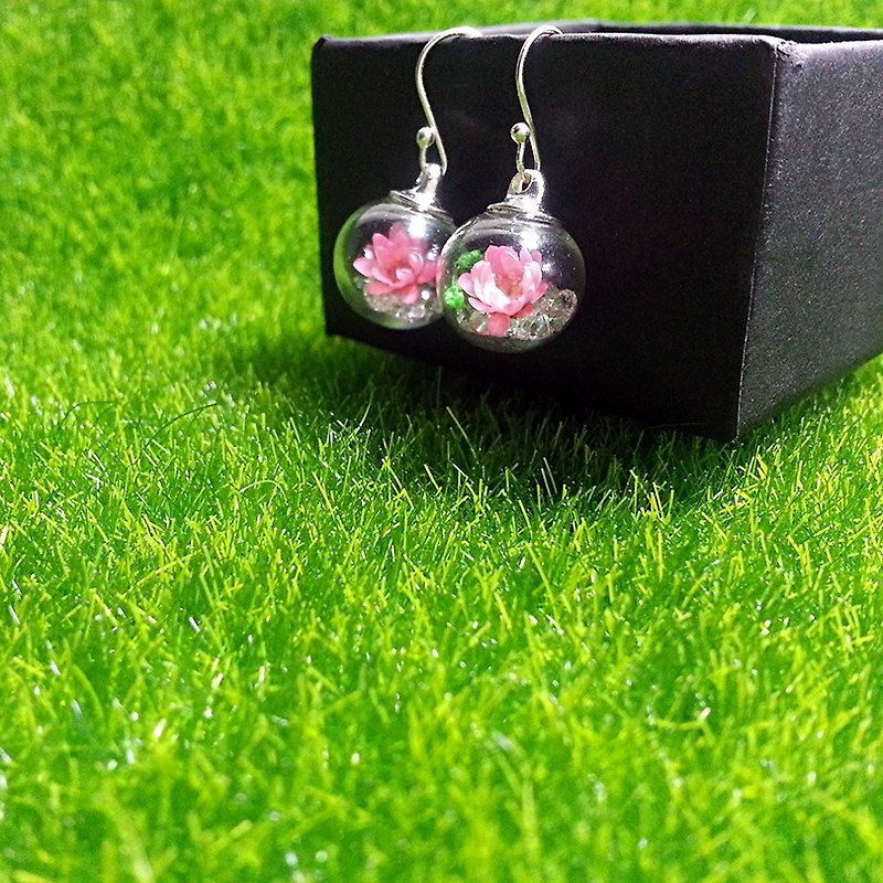 925 Silver Multicolor small daisy dried flower glass ball earrings (ear clip can be changed, ear pin) - Earrings & Clip-ons - Plants & Flowers Multicolor