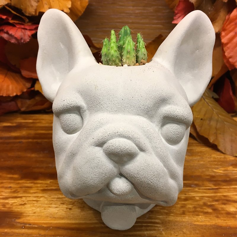 French Bulldog - Pen case / Pots - Plants - Cement Gray