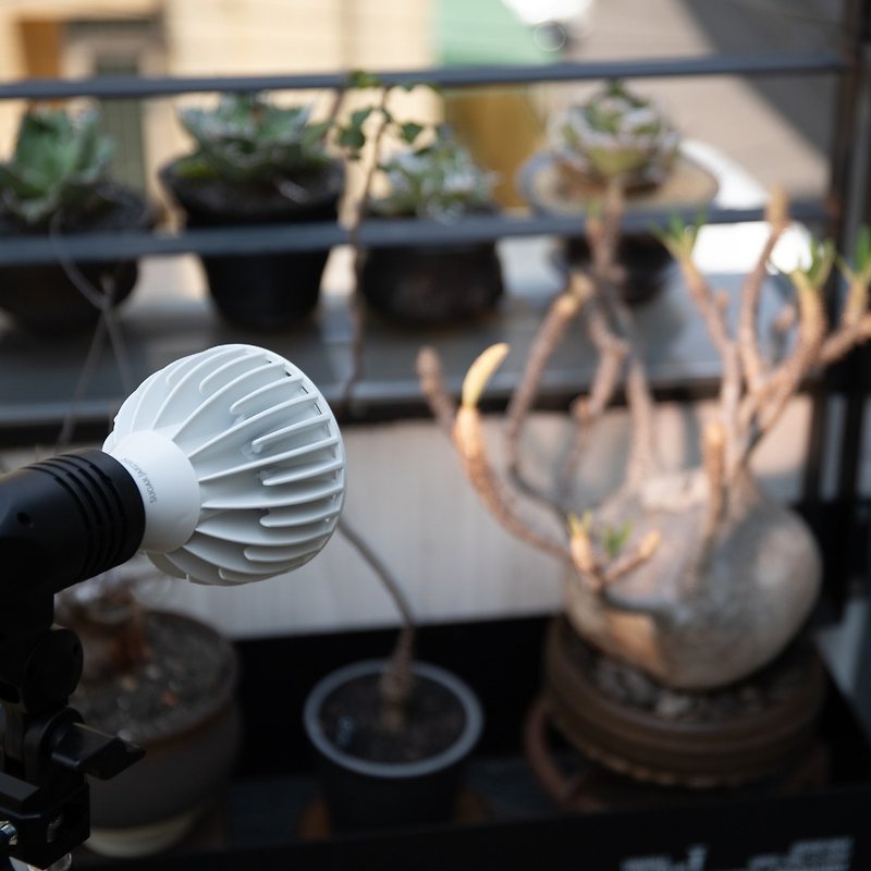 Alyna全光譜植物燈30W/植物生長燈/母親節禮物 - 燈具/燈飾 - 其他金屬 