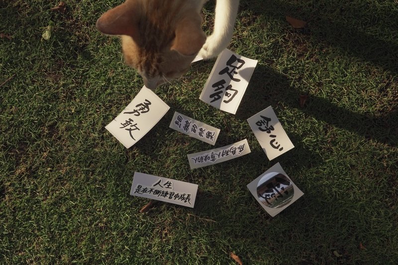 文字貼紙 - 貼紙 - 其他材質 白色
