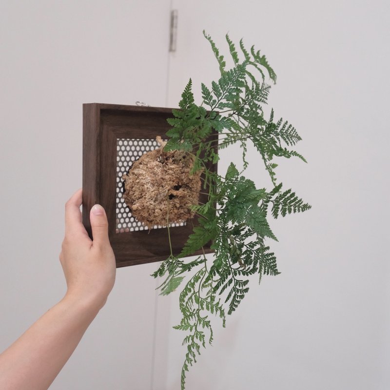 上板植物畫框 - 盆栽/植栽 - 植物．花 