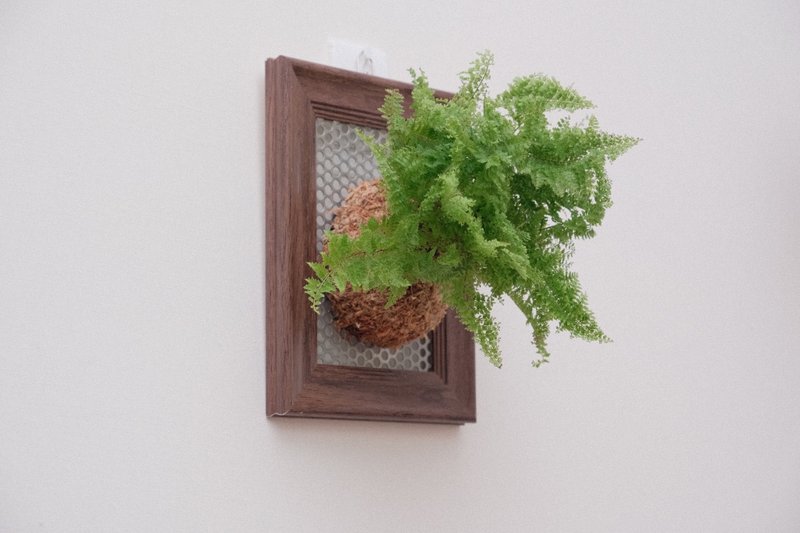Mounted Plant Art Frame - Plants - Plants & Flowers 