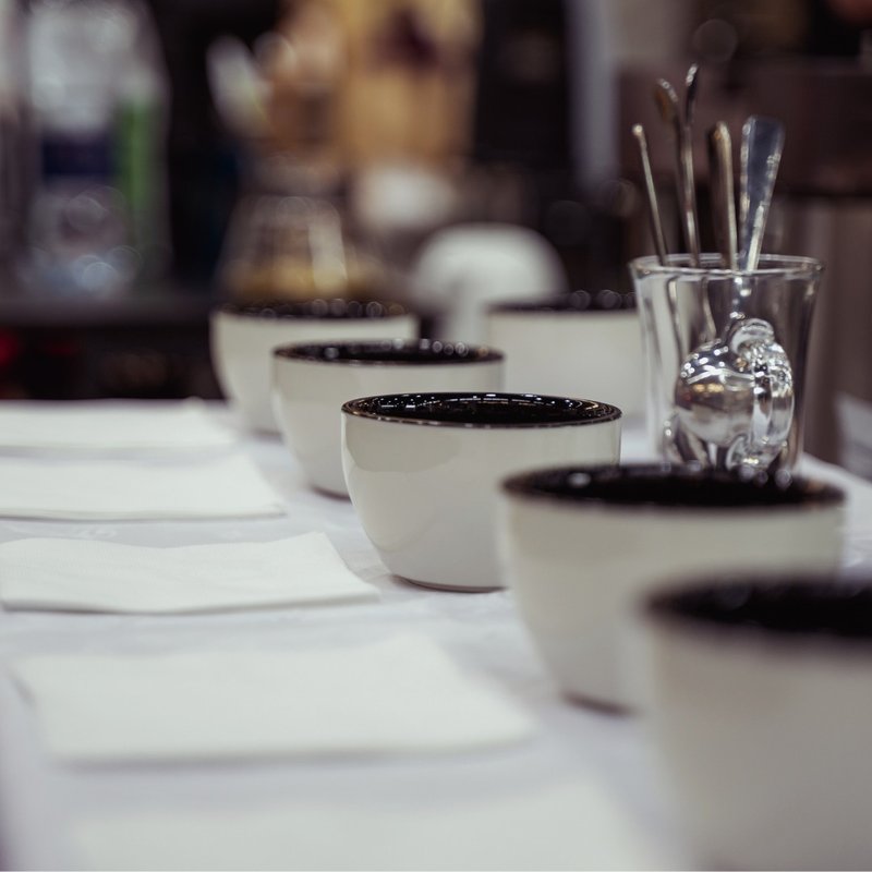 Coffee cupping and brewing experience class - Cuisine - Other Materials 