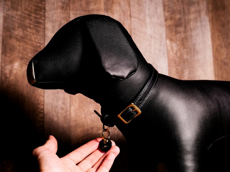 Leather Pet Collar - Buttero - ปลอกคอ - หนังแท้ หลากหลายสี