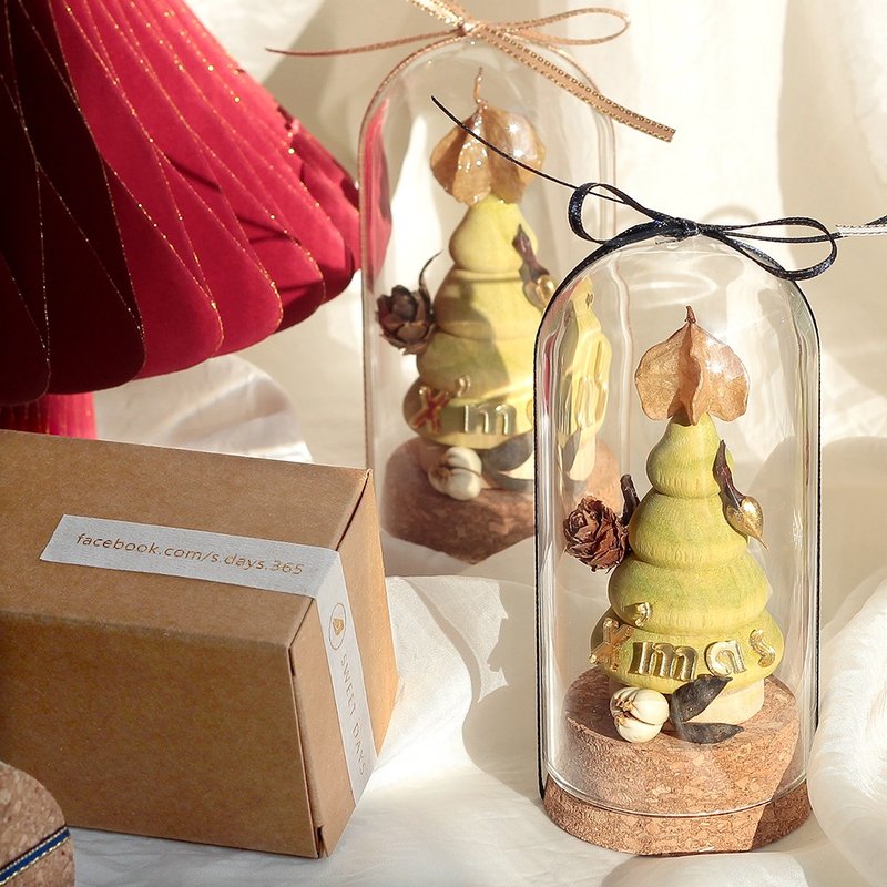 Limited DIY Christmas Exchange Gift Decoration Material Pack Seed Christmas Tree - ของวางตกแต่ง - พืช/ดอกไม้ สีเขียว