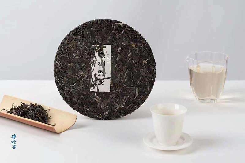 【㭍茶沏茶】猿抱子2020年製古樹白茶的 - 茶葉/茶包 - 新鮮食材 金色