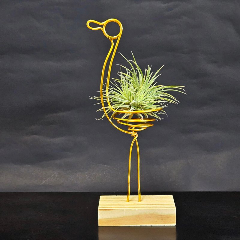 【金鶴報喜】含空鳳 - 盆栽/植栽 - 其他金屬 金色