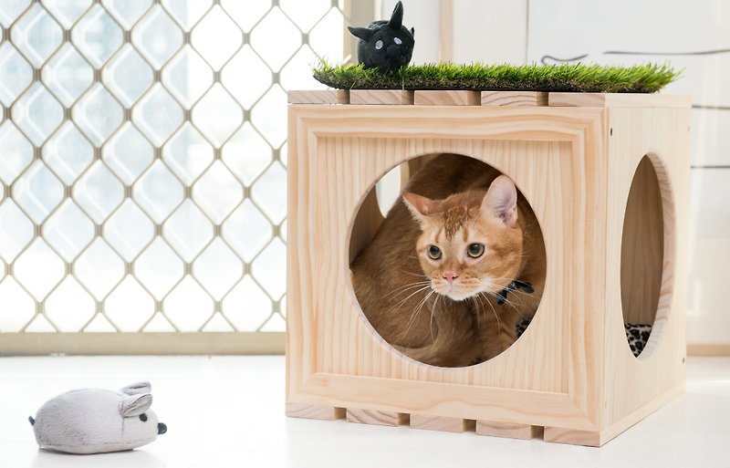 [Pat] Pre WOODEN CUBE wood cabinet box + Catnip mice - Other - Wood Brown